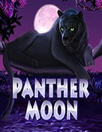 สนุกกับการรับปั่นบาคาร่า คืออะไร แล้วทำไมถึงต้องเล่น!