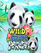 เล่นเกมฟรีได้เงินจริง กับ Pragmatic Play สุดยอดประสบการณ์