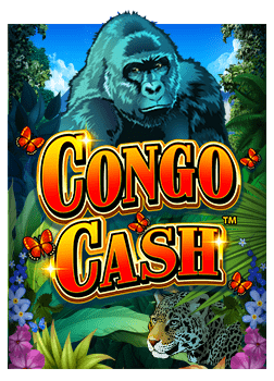 เทคนิค การ แทง บา คา ร่า ที่คุณควรลอง